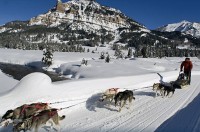 Winter-Snowshoe-Dog-Sled-Tour