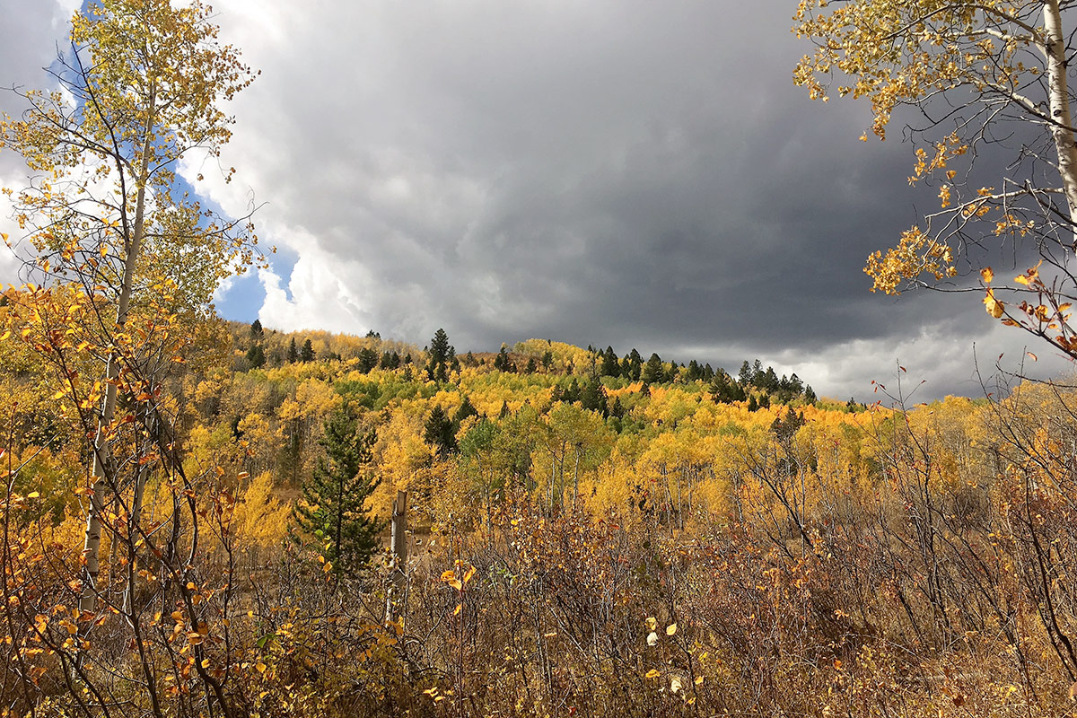 October in Jackson Hole