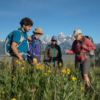Group on Jackson Hole Guided Day Hike in Front of Grand Teton - Hole Hiking Experience